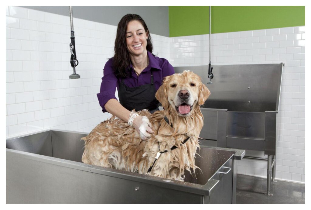 Dog Shampoo Washing 2