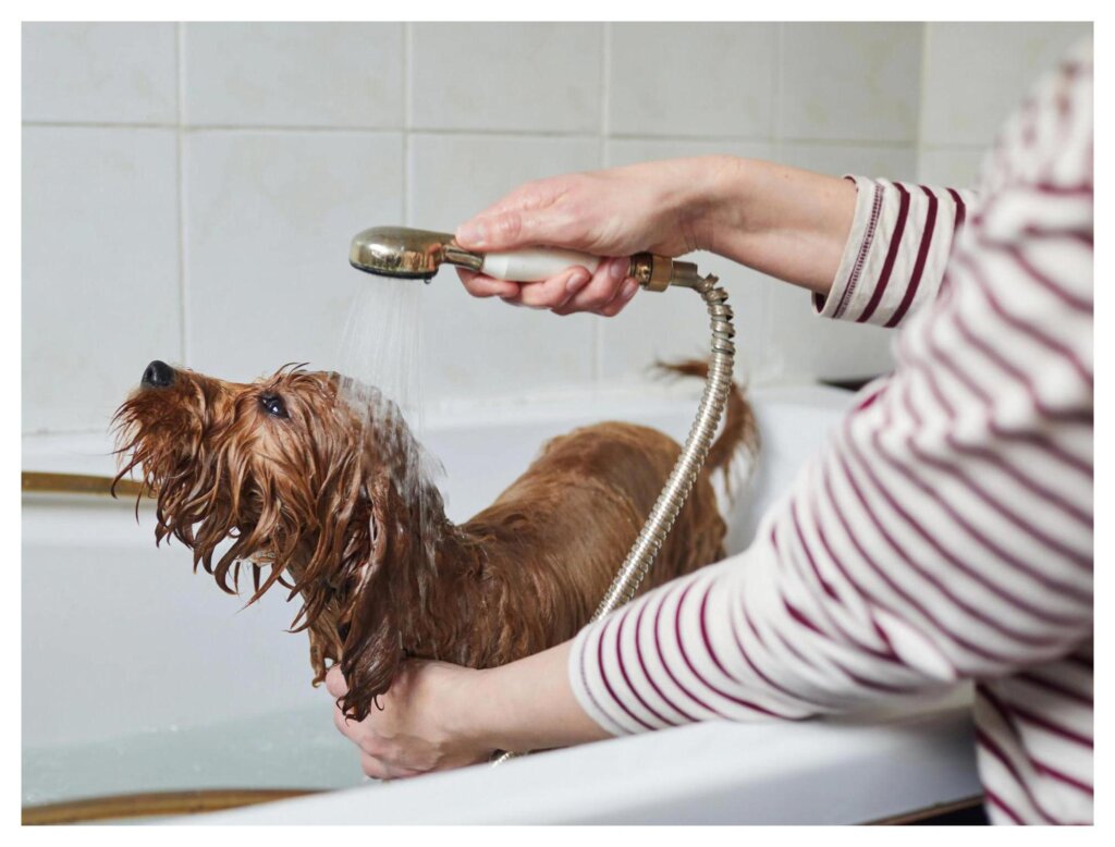 Dog Shampoo Washing 20
