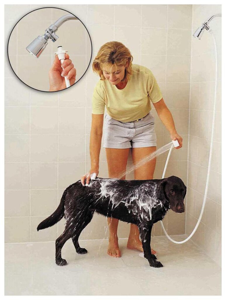 Dog Shampoo Washing 28