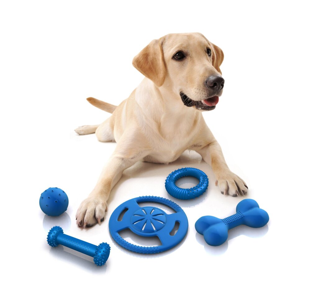 Dog Toys 4