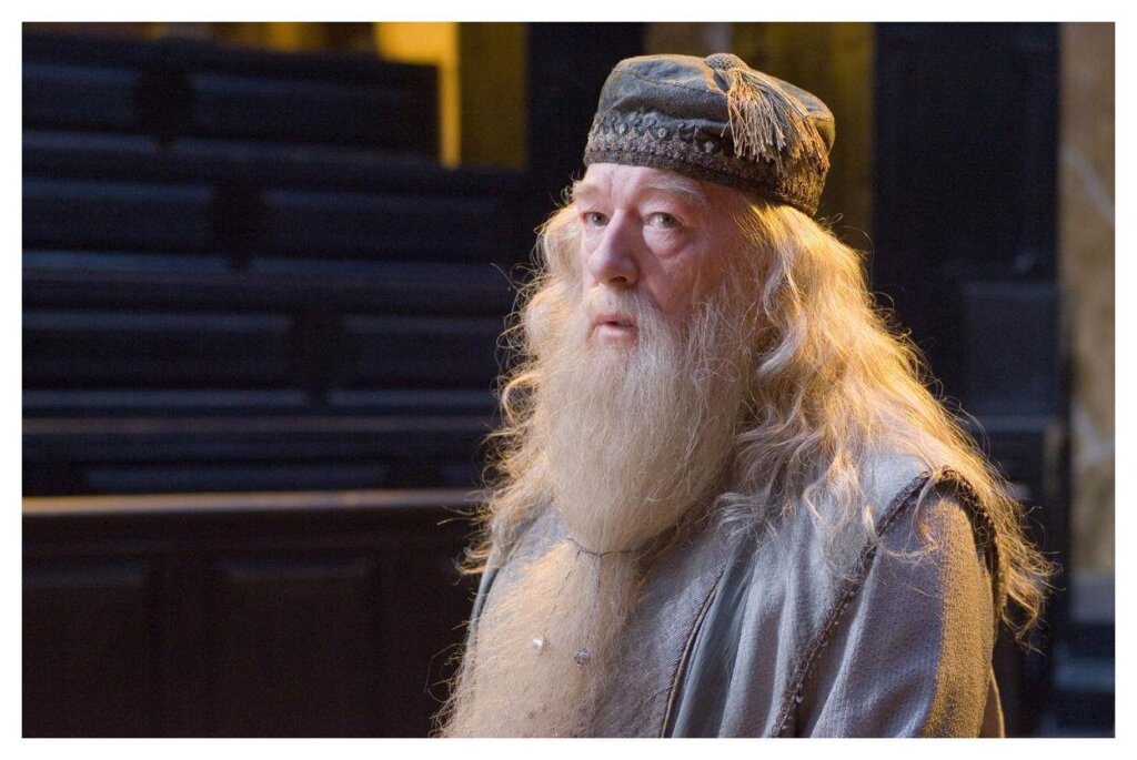 Dumbledore 8