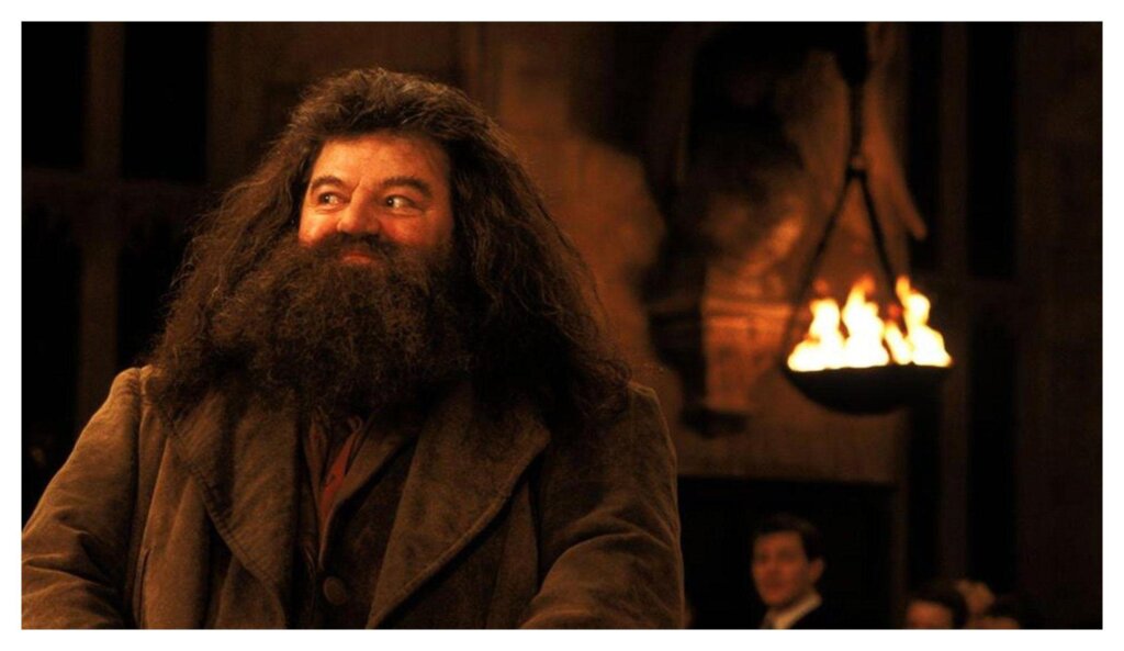 Hagrid 1