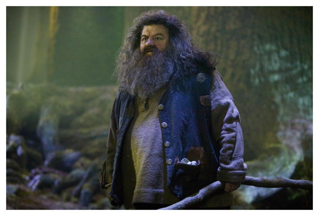 Hagrid 10