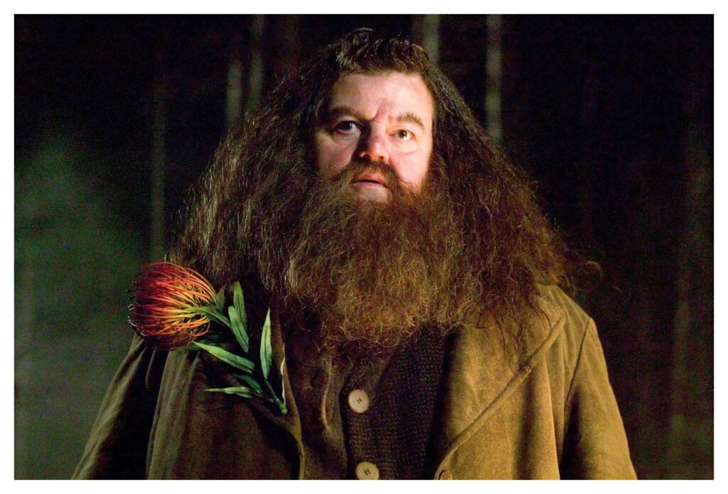 Hagrid 2