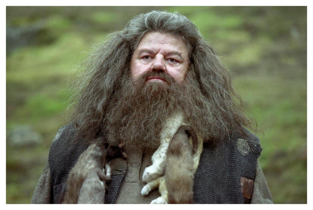 Hagrid 3
