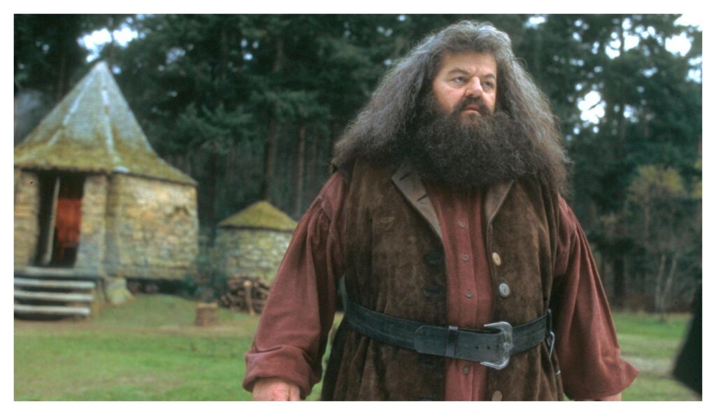 Hagrid 4
