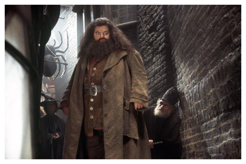 Hagrid 6