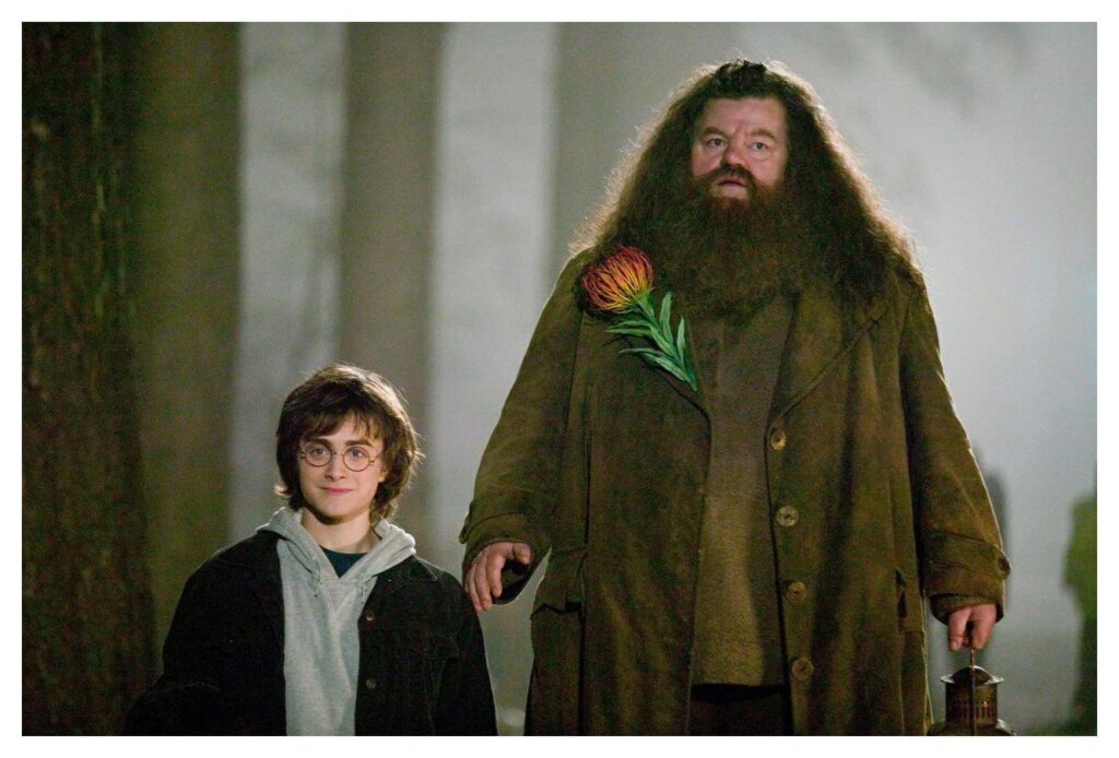 Hagrid 7