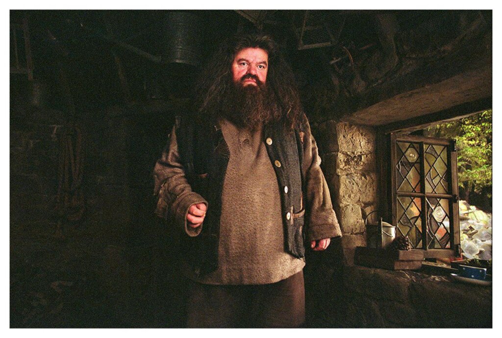 Hagrid 9