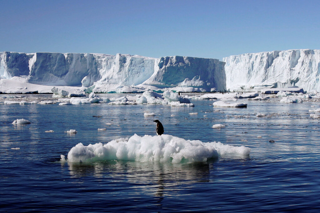 Melting Antarctic Glaciers 10