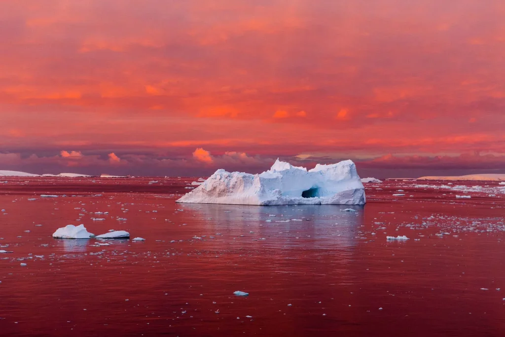 Melting Antarctic Glaciers 30
