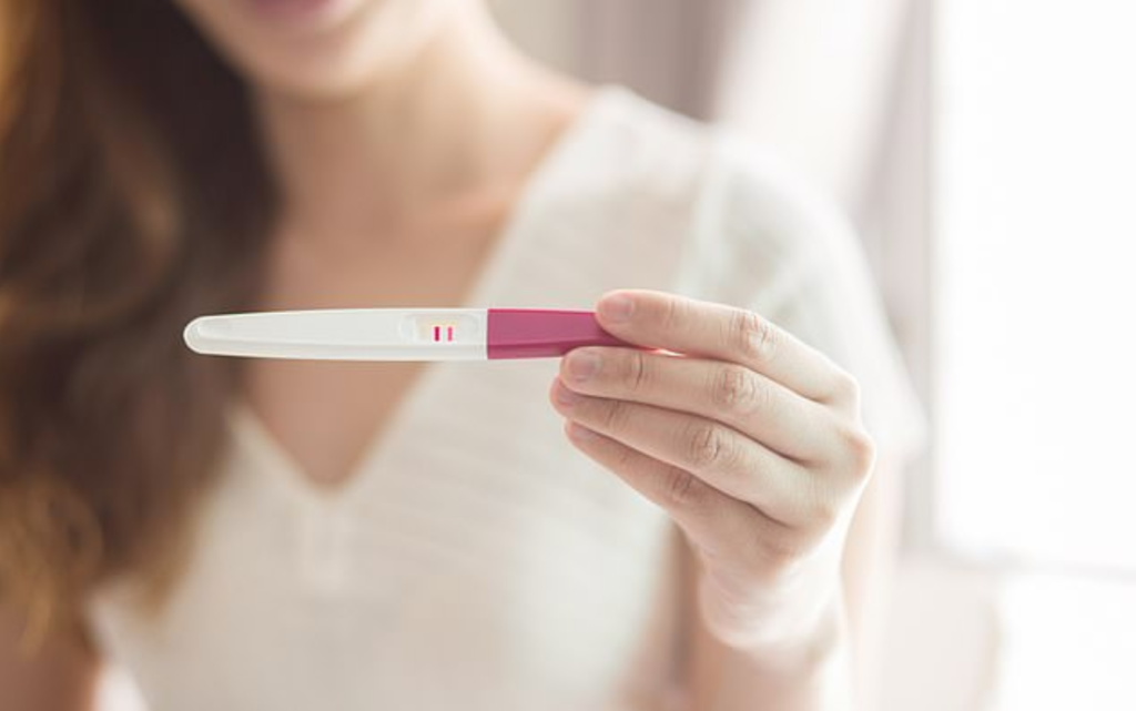 Pregnancy Test 17