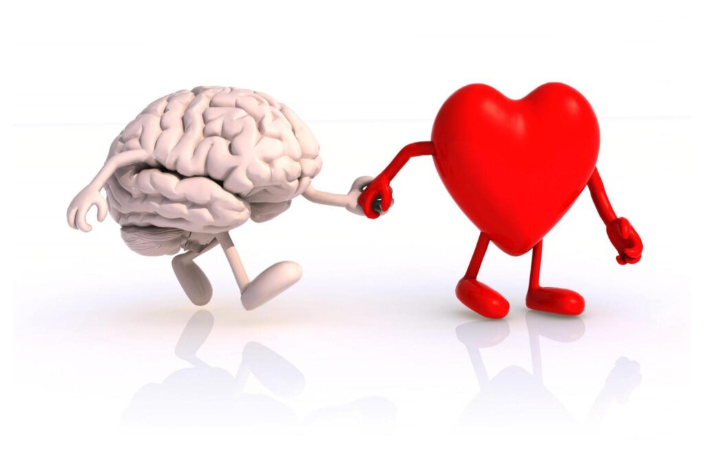 The Effect Of Love On The Brain 14