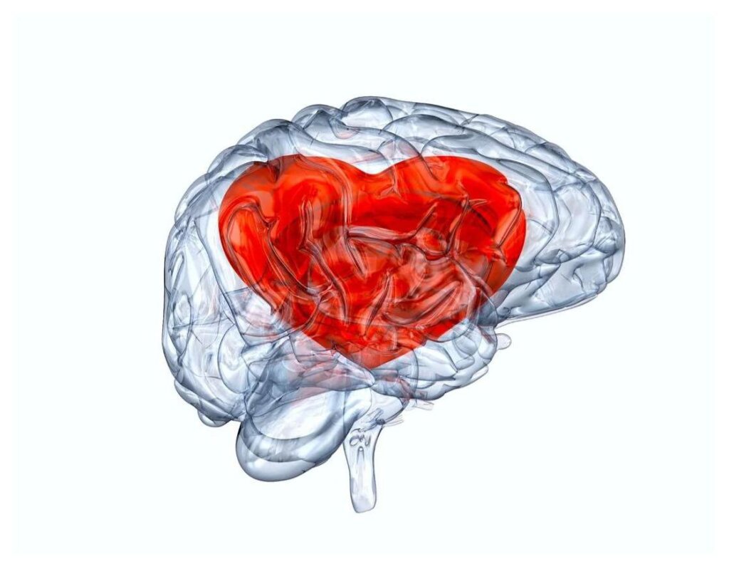 The Effect Of Love On The Brain 15