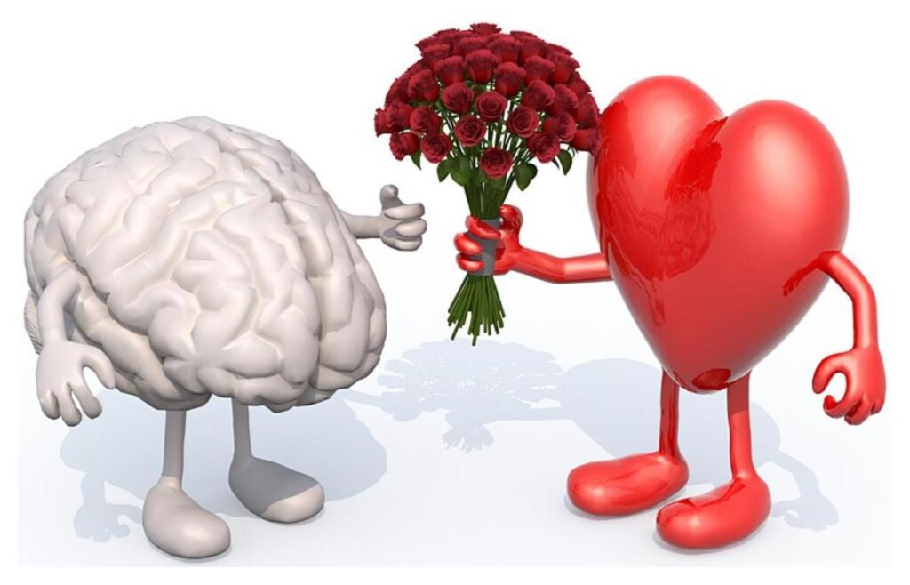 The Effect Of Love On The Brain 16