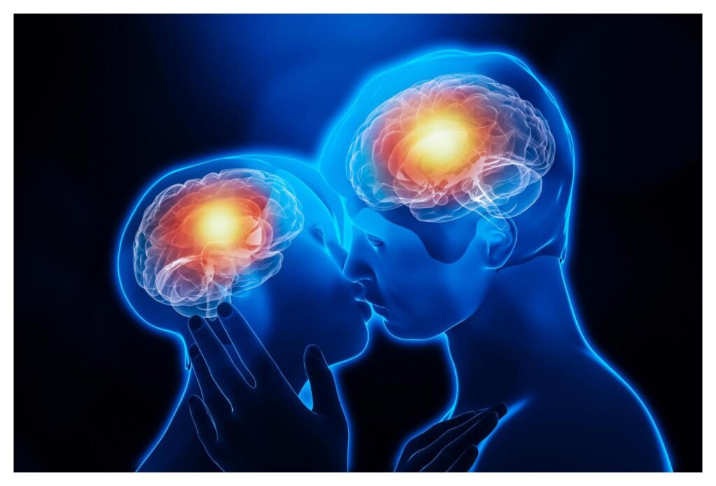 The Effect Of Love On The Brain 21