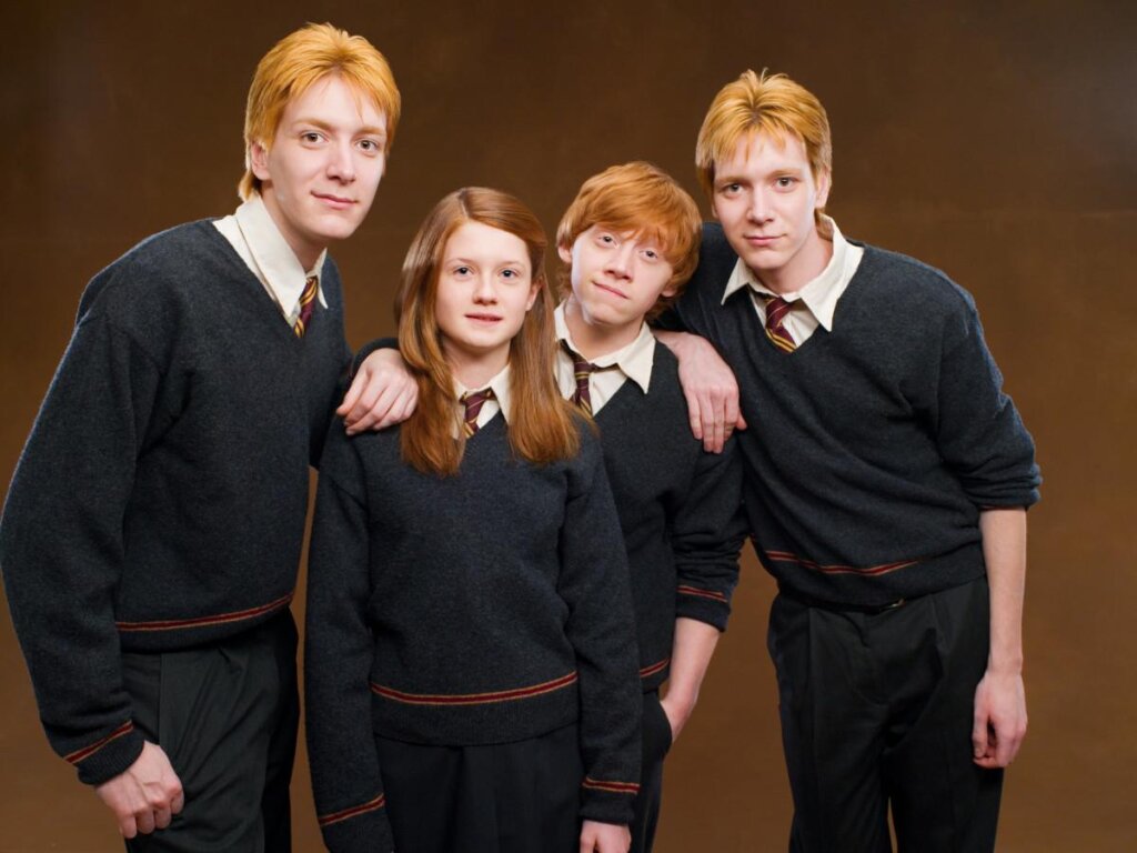 The Weasley Twins 5