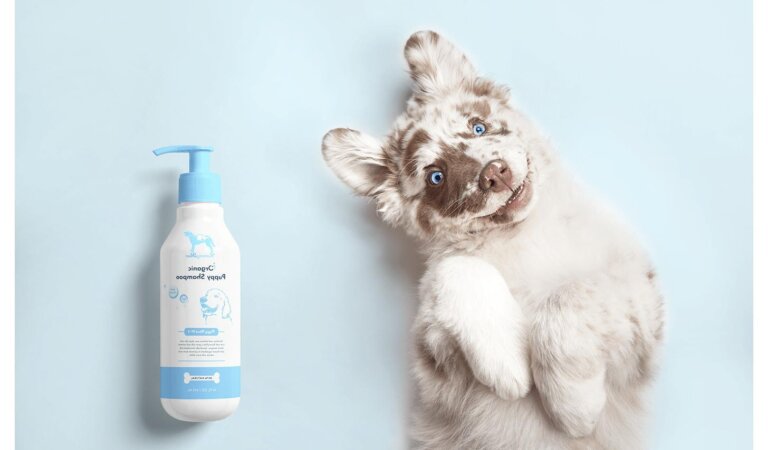 What To Consider When Choosing A Dog Shampoo