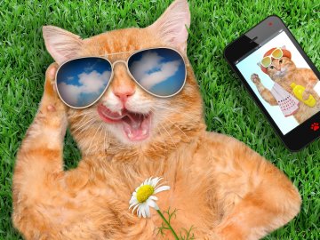 cat grass smart phone