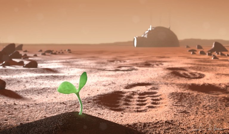 The First Plant We Need to Grow To Survive on Mars!