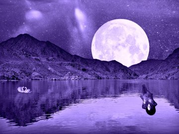 full moon purple swans pixabay public domain 2702450 1280