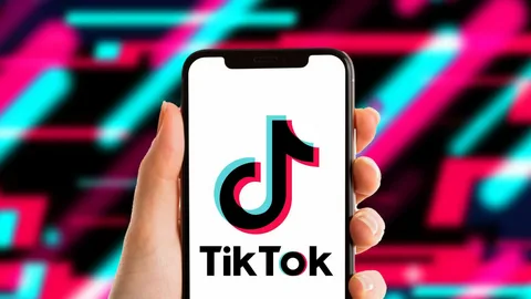 The Phenomena That Charge the Highest Fees For Sponsored Posts on TikTok!